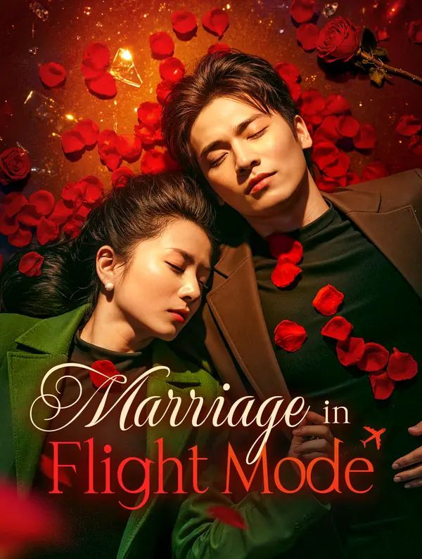 Marriage in Flight Mode poster