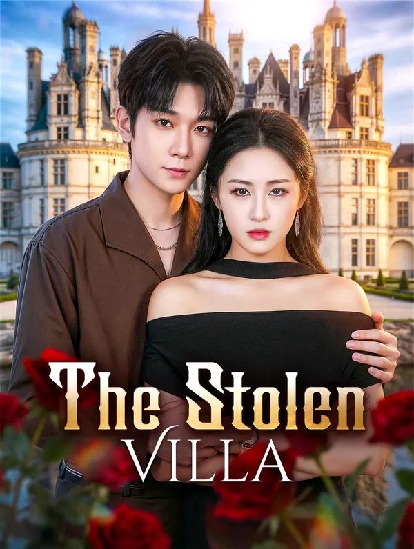 Poster for The Stolen Villa