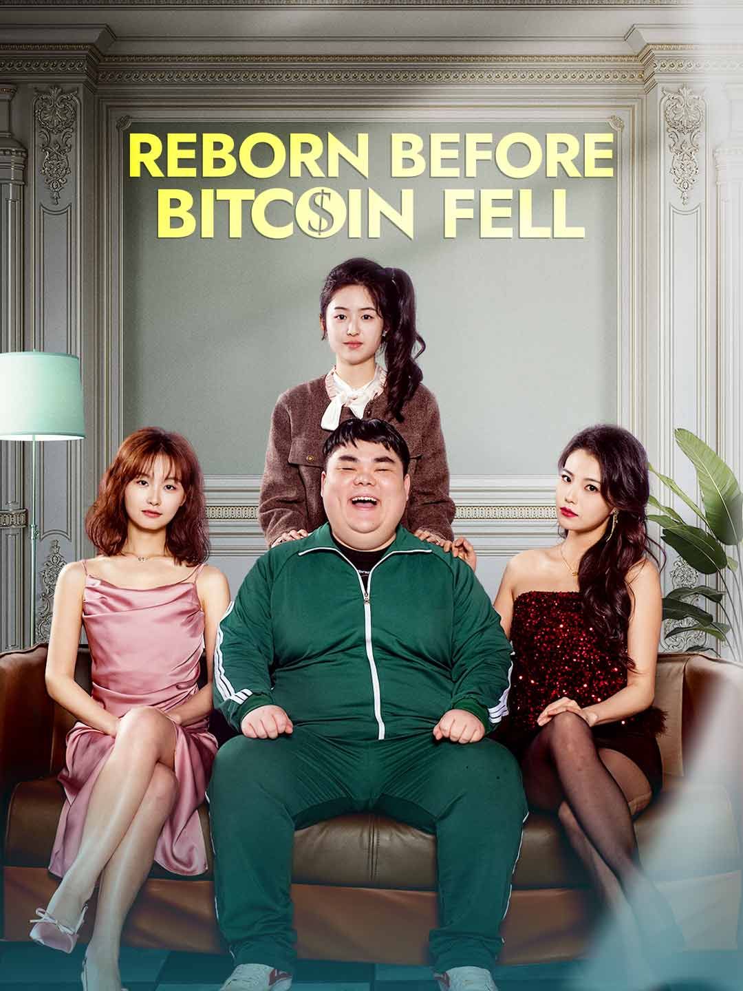 Reborn Before Bitcoin Fell poster