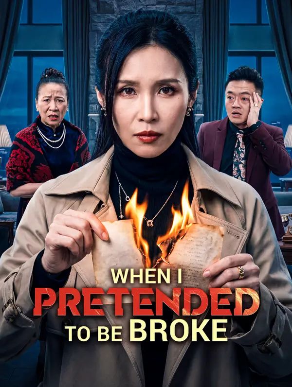 Poster for When I Pretended to Be Broke