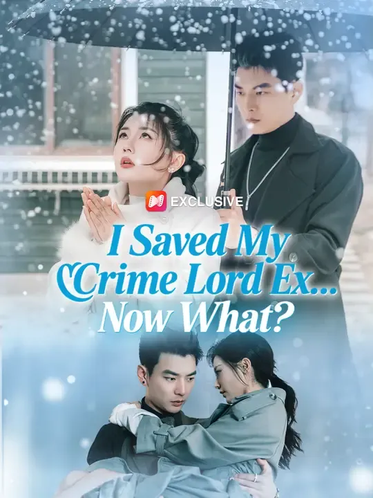 I Saved My Crime Lord Ex... Now What? poster