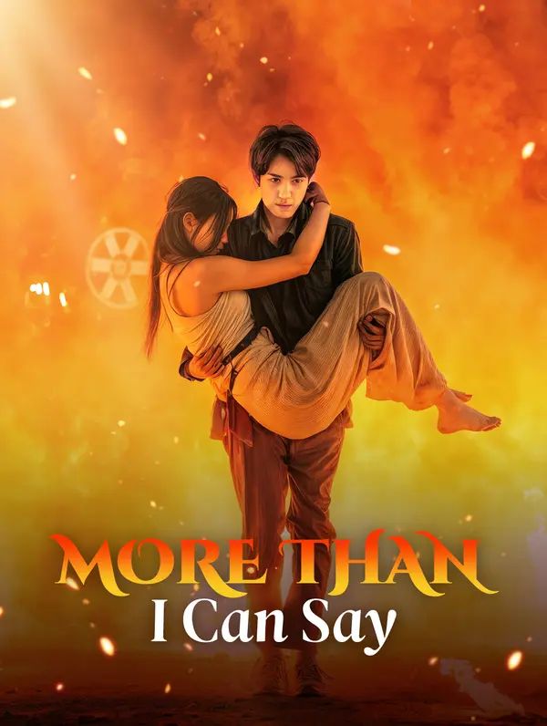 Poster for More Than I Can Say