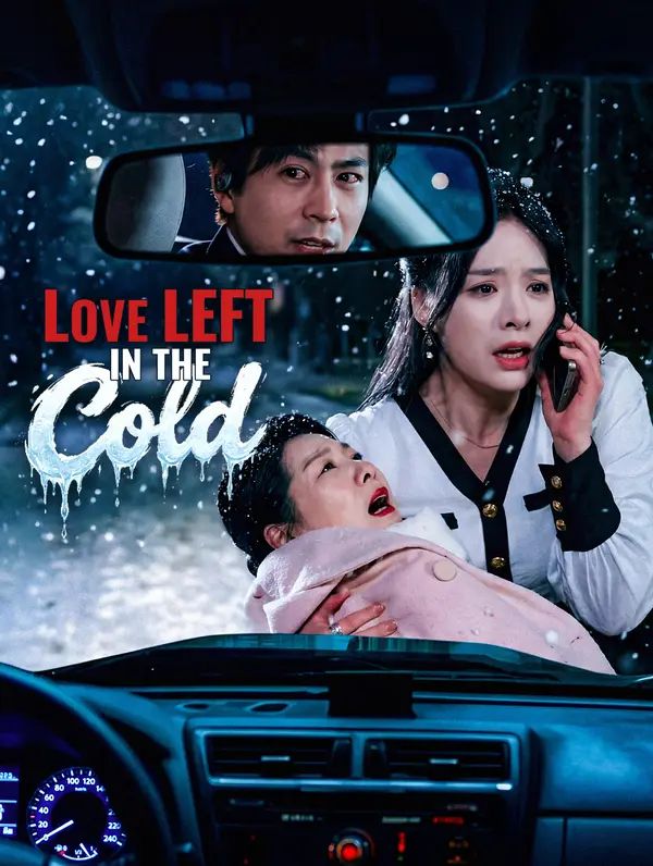 Love Left in the Cold poster