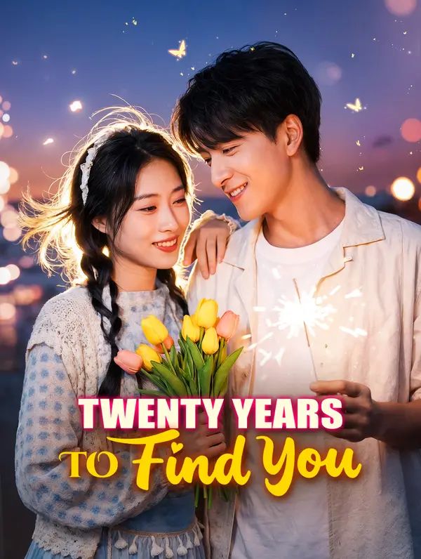 Poster for Twenty Years to Find You