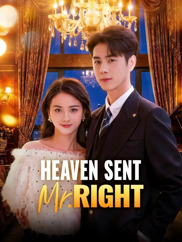 Poster for Heaven Sent Mr. Right