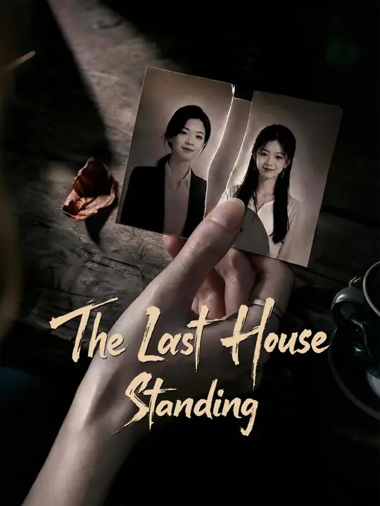 The Last House Standing poster