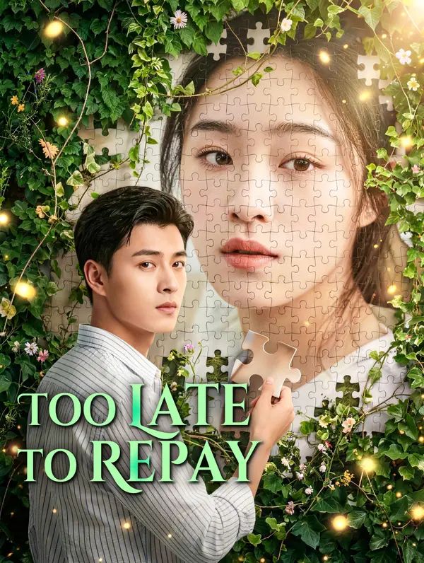 Too Late to Repay poster
