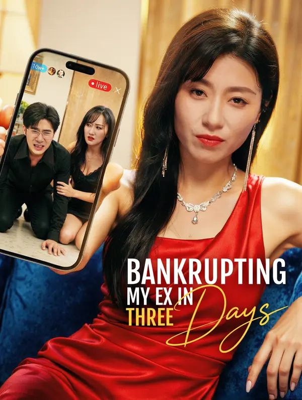 Bankrupting My Ex in Three Days poster