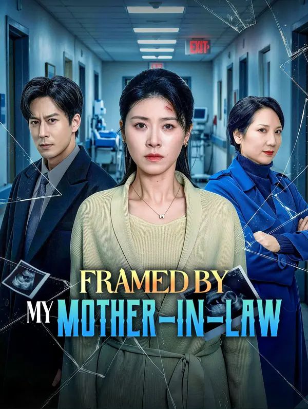 Poster for Framed by My Mother-in-Law