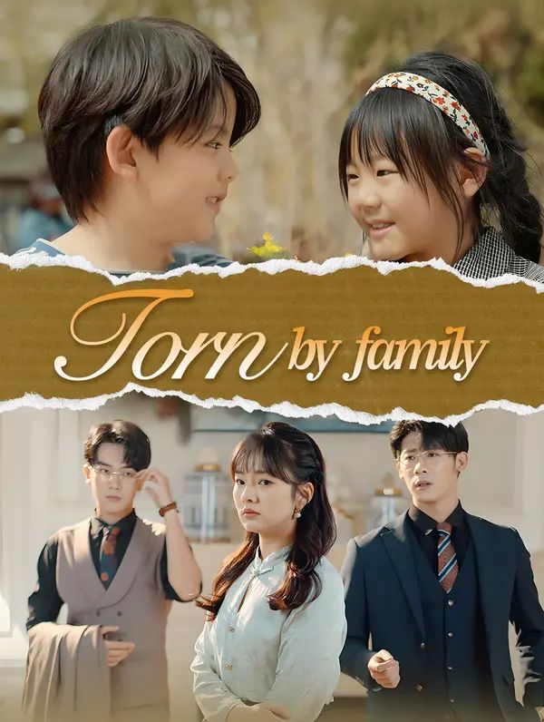 Torn by Family poster