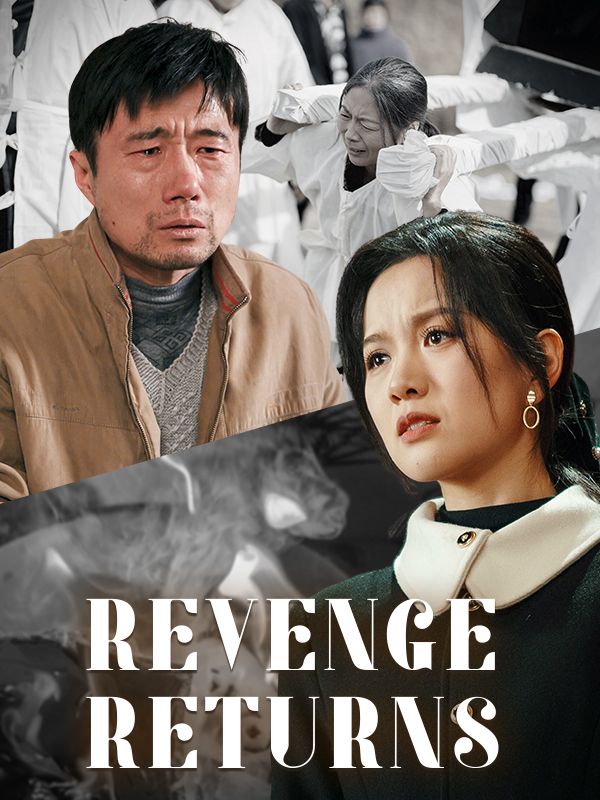 Revenge Returns poster