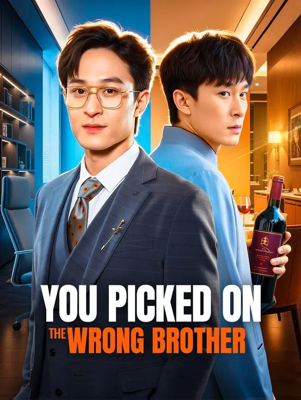 You Picked on the Wrong Brother poster