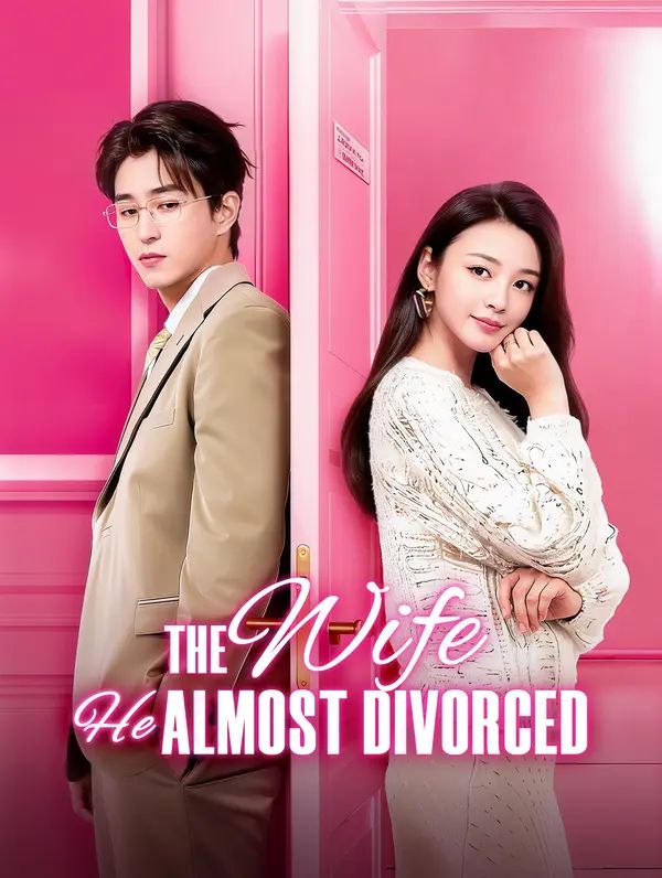 The Wife He Almost Divorced poster