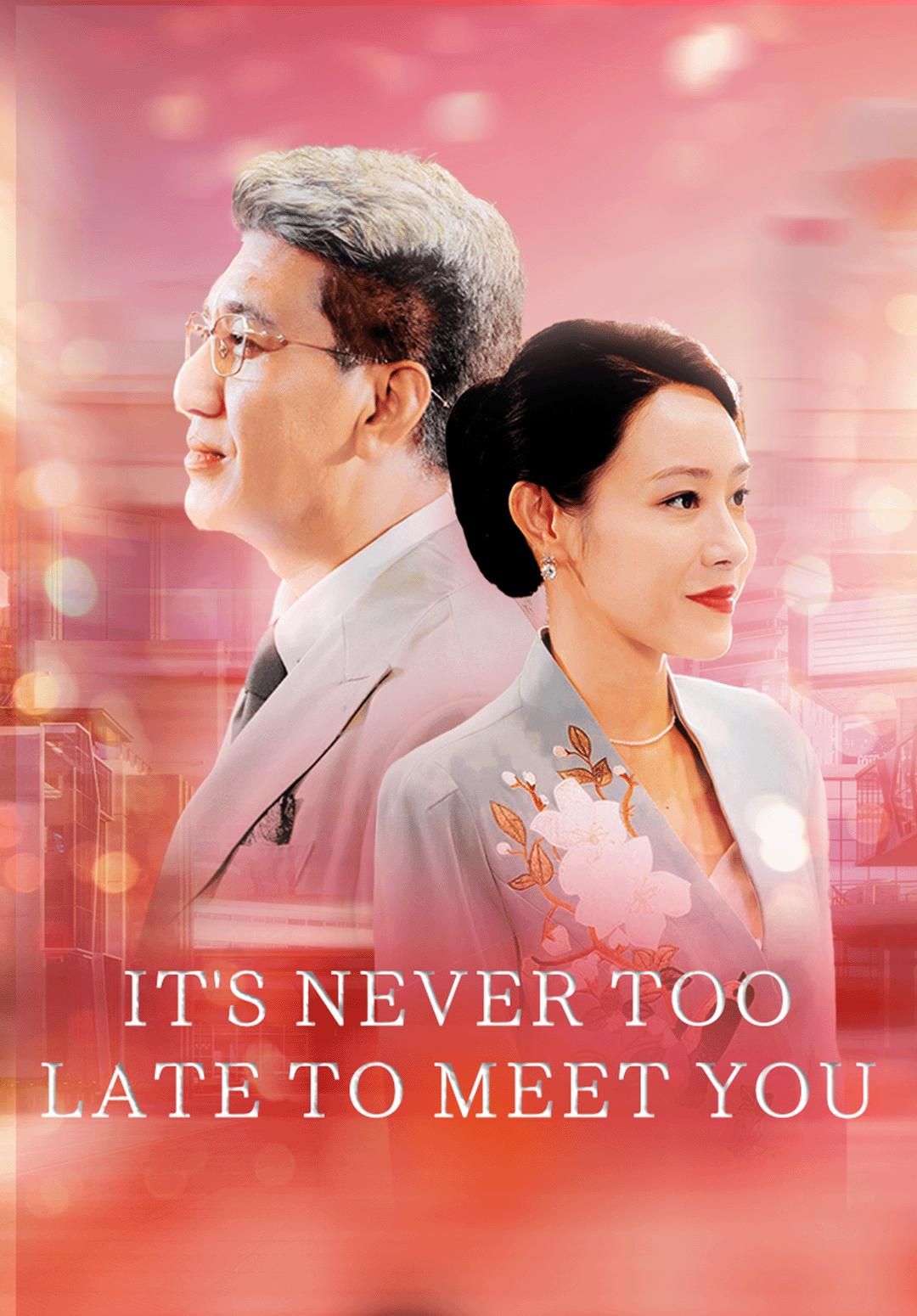 It's Never Too Late to Meet You poster
