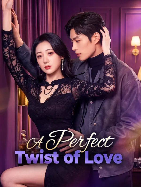 A Perfect Twist of Love poster