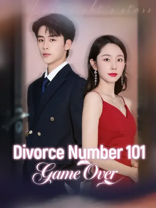 Divorce Number 101. Game Over poster