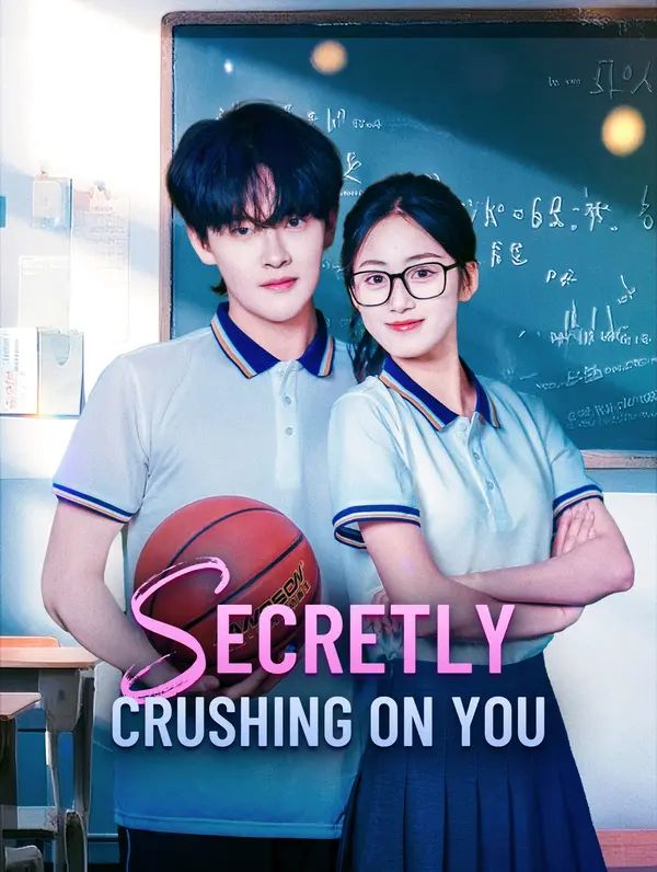 Secretly Crushing on You poster