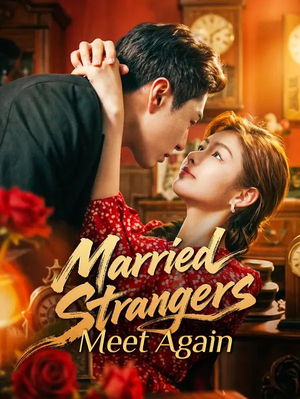 Married Strangers Meet Again poster