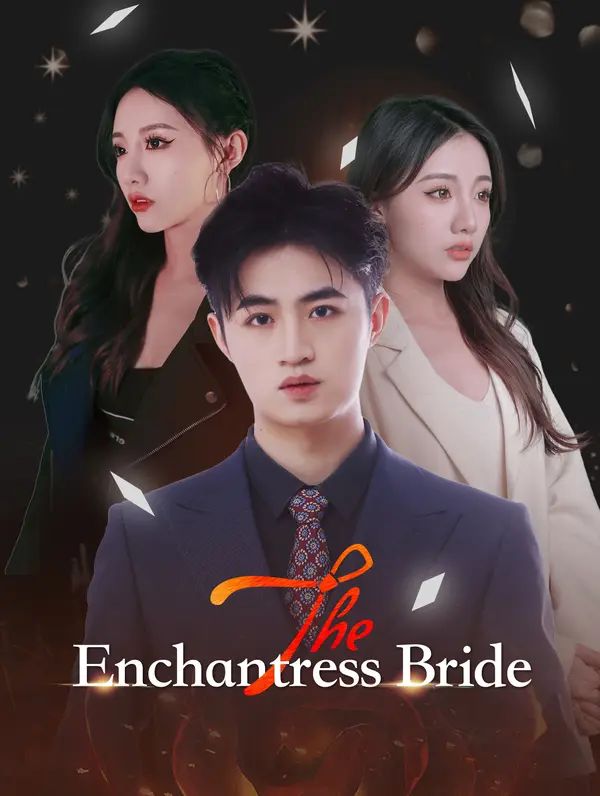 The Enchantress Bride poster