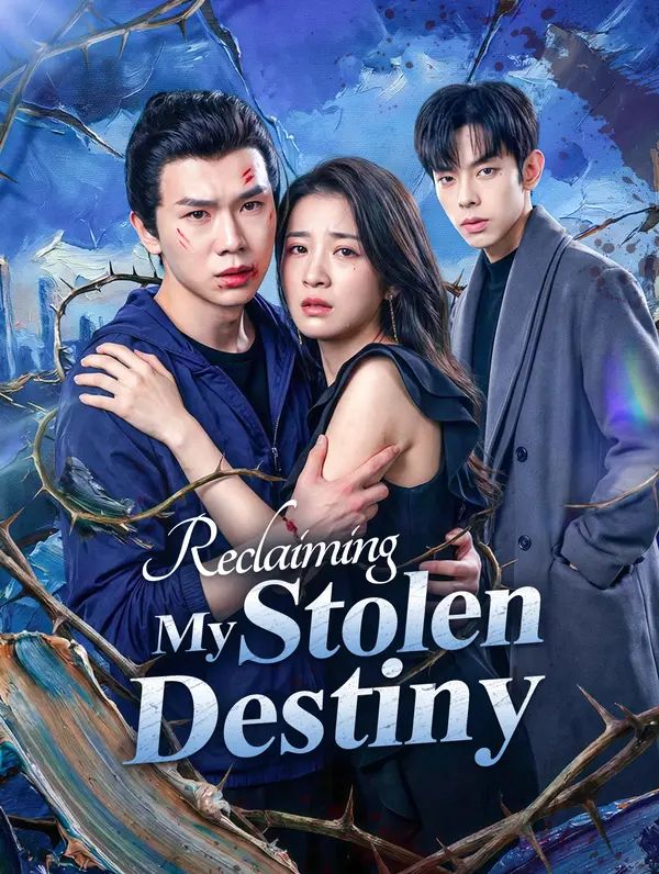 Poster for Reclaiming My Stolen Destiny