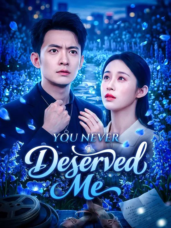 You Never Deserved Me poster