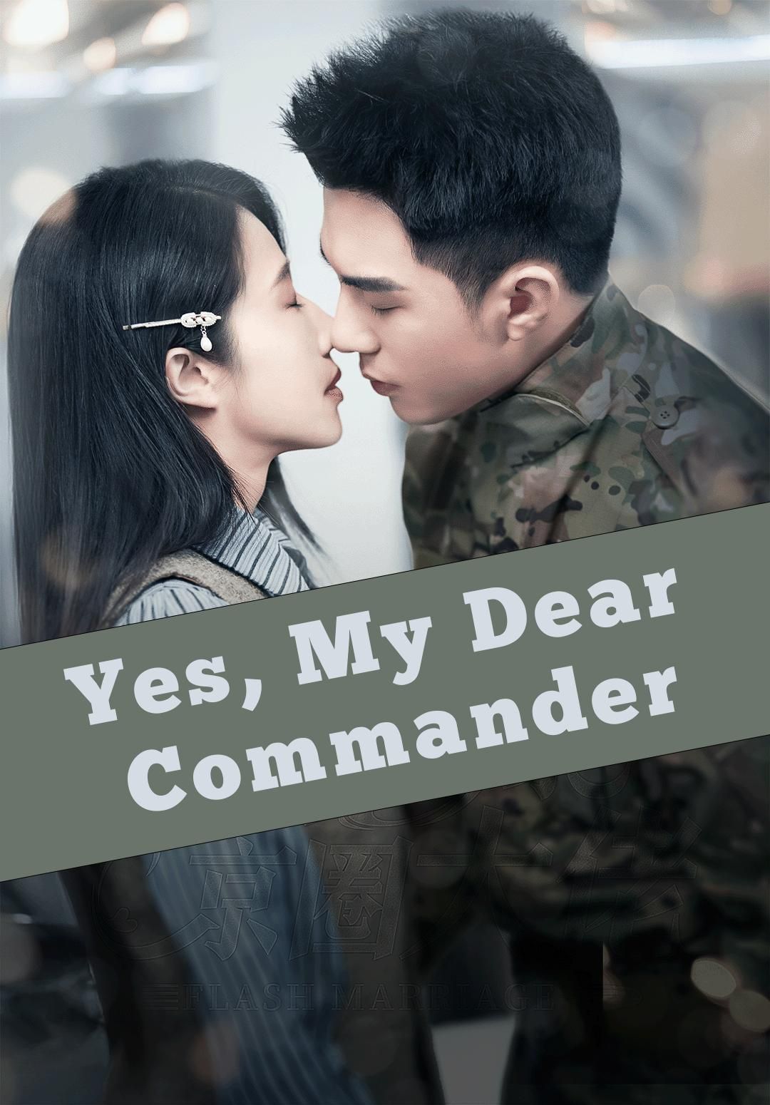 Yes, My Dear Commander poster