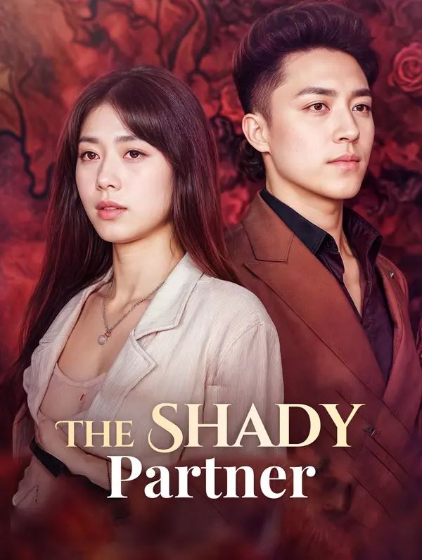 The Shady Partner poster