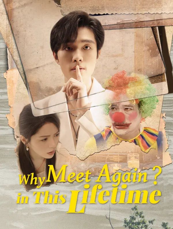 Why Meet Again in This Lifetime poster
