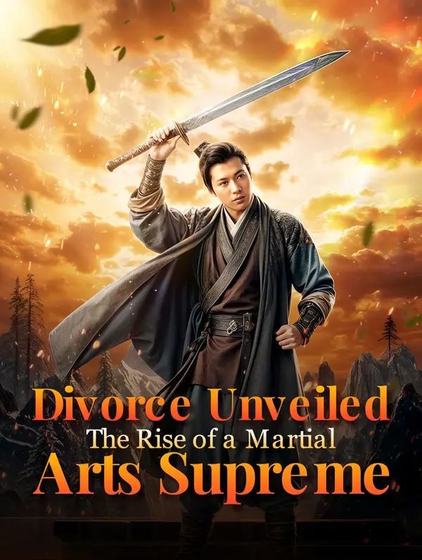 Divorce Unveiled: The Rise of a Martial Arts Supreme poster