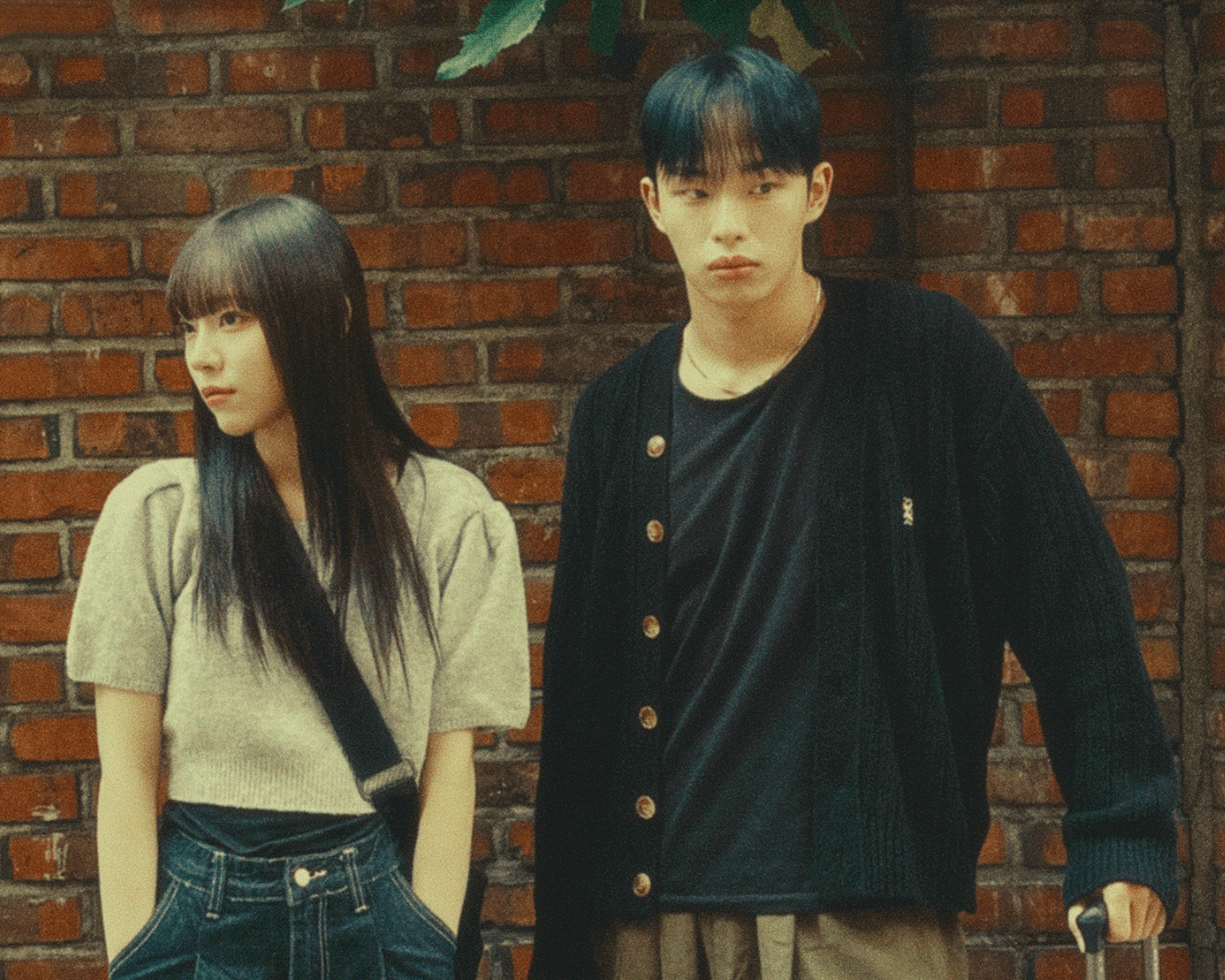 Poster for Real love in Guest House