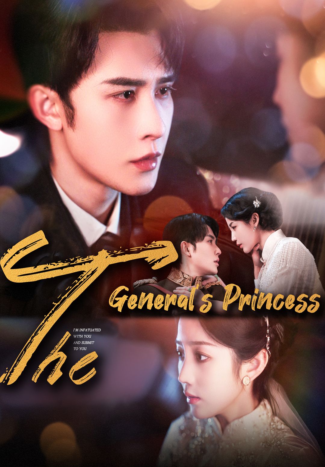 The General's Princess poster