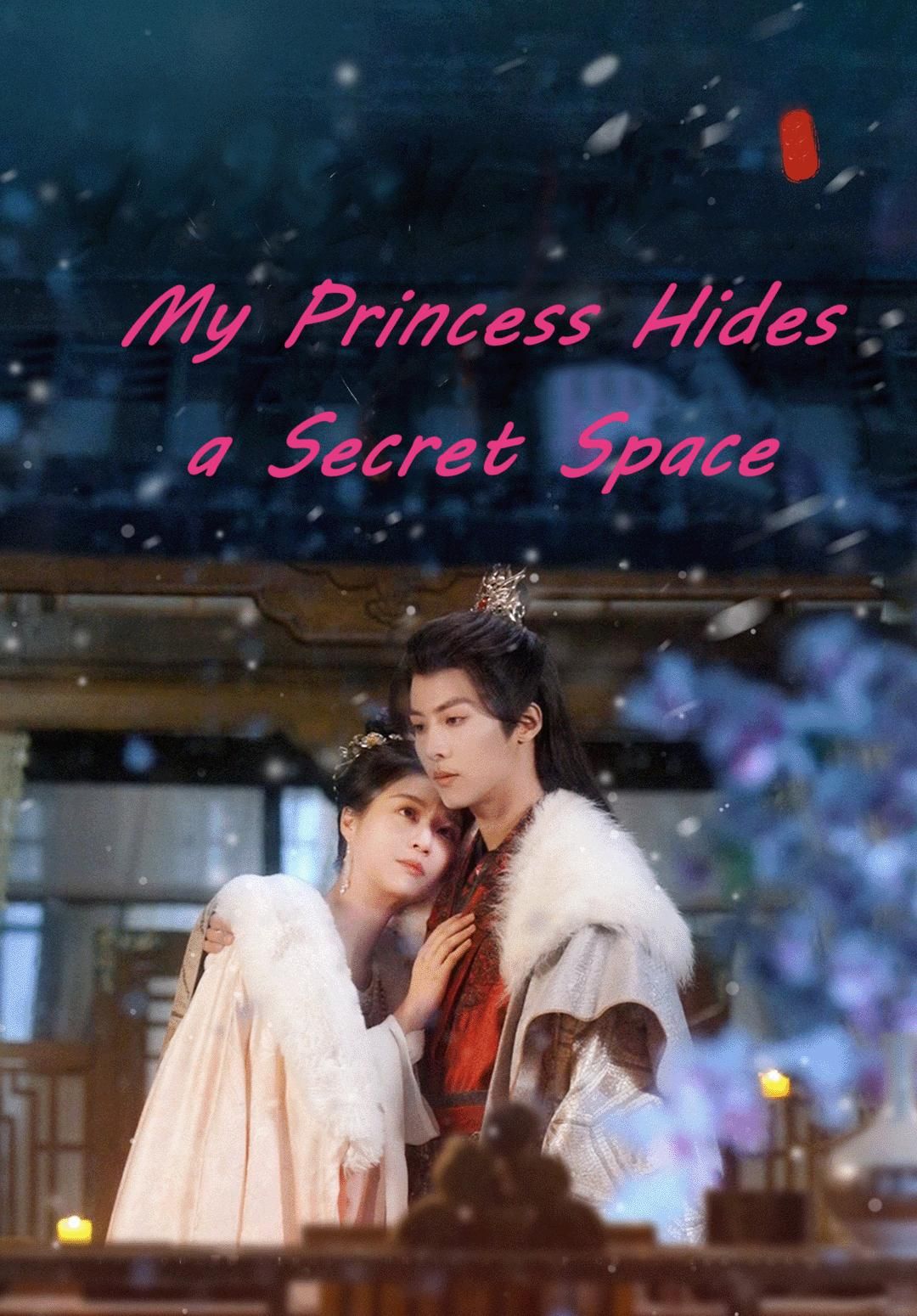 My Princess Hides a Secret Space poster