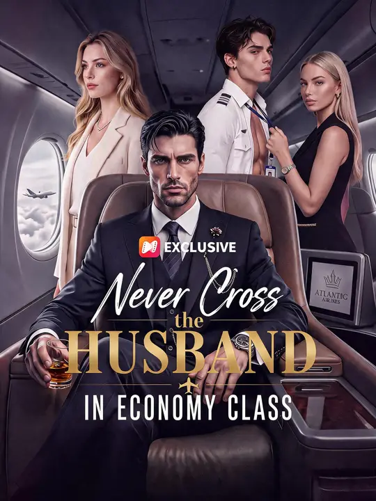 The Economy Class Husband Strikes Back poster