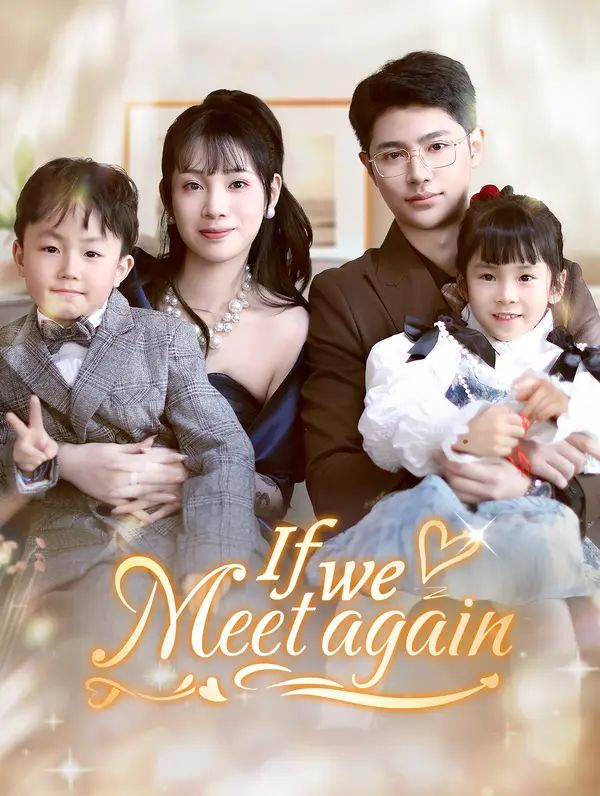 Poster for If We Meet Again