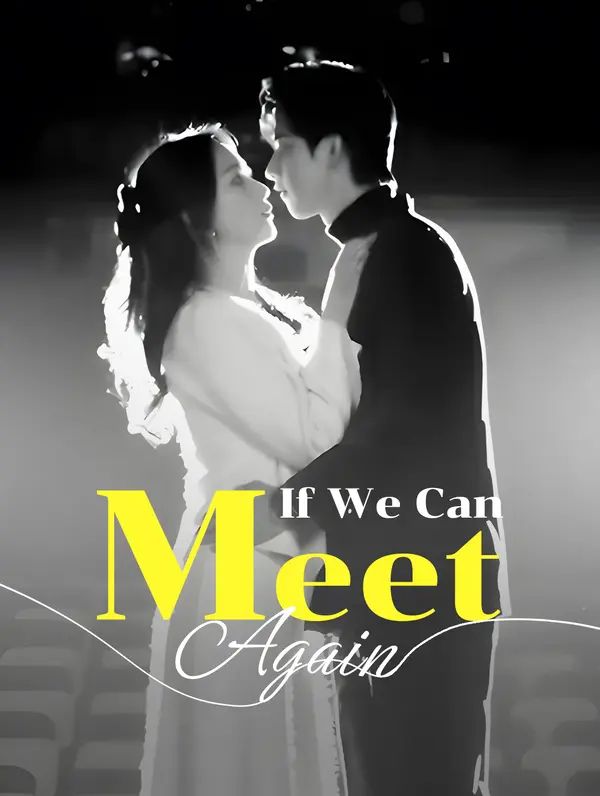 Poster for If We Can Meet Again